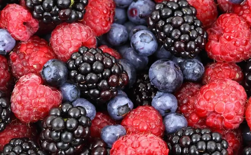 Foods That Are Beneficial to the Circulation of the Blood