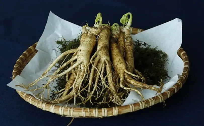 How to Treat Erectile Dysfunction Naturally